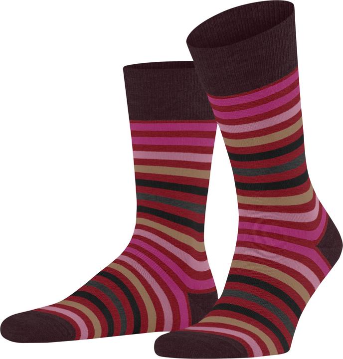 Produktbild Falke Tinted Stripe SO (Einzelpack, 39 - 42)