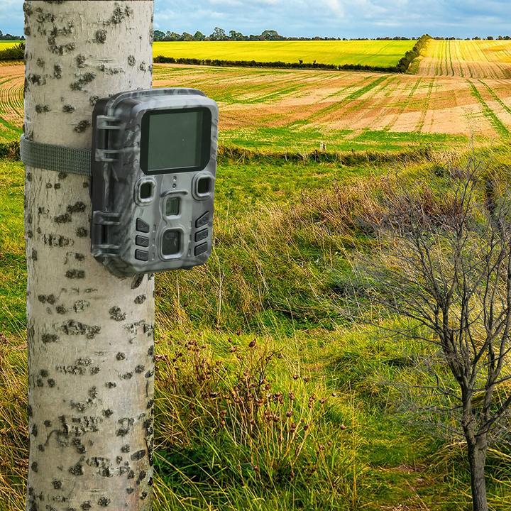 Image du produit Casativo Caméra compacte Full HD pour animaux sauvages avec détecteur de mouvement et vision nocturne
