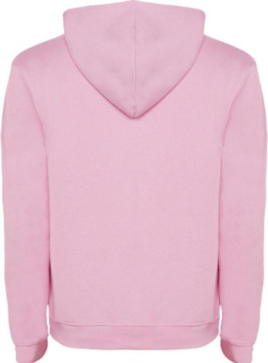 Immagine prodotto Alpinia Urban Felpa con Cappuccio Uomo (XL)