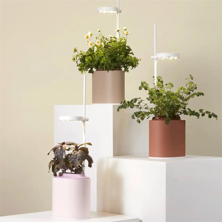 Image du produit Prêt à Pousser Pot d'herbes aromatiques Nano (13.50 cm)