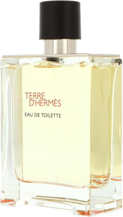 Hermès Terre D' (Eau de toilette, 100 ml)