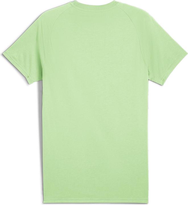 Actual product image Puma EVOSTRIPE Tea (M)