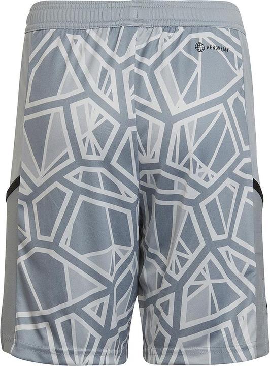 adidas Condivo 22 Torwartshorts (128)