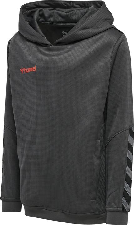 Actual product image hummel Authentic Kids Poly Hoodie (116)