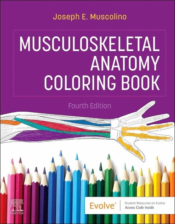 Immagine prodotto Musculoskeletal Anatomy Colouring Book (Inglese, Joseph E. Muscolino, 2023)