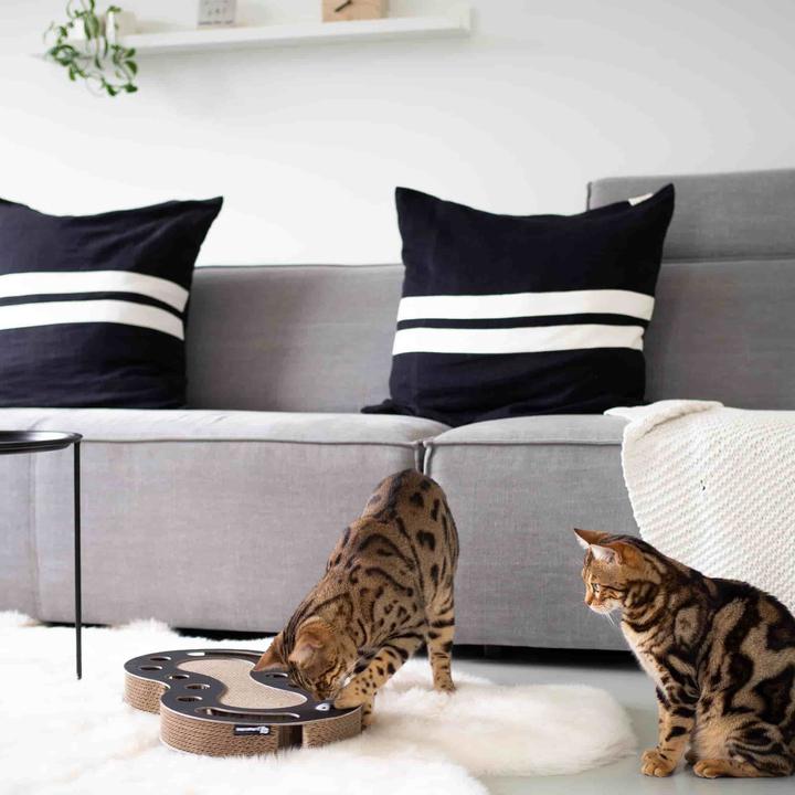 Actual product image District 70 Scratching board Snake, White (White)