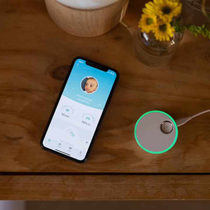 Immagine prodotto Owlet Calzino intelligente 3 (Audio del baby monitor, 30 m)