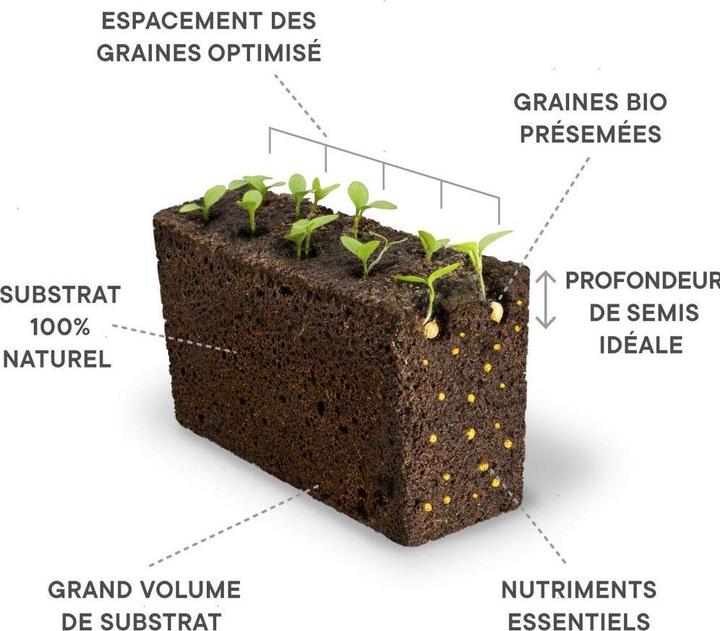Image du produit Véritable Lingot Fraise des bois rouge BIO (Graines de fruits)