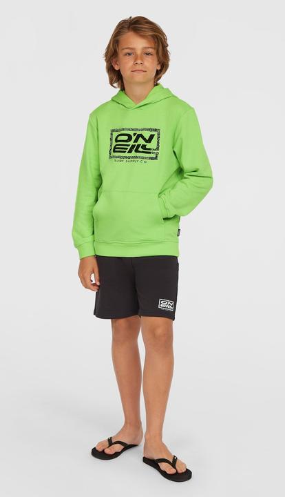 Immagine prodotto O'Neill Logo Hoodie (164)