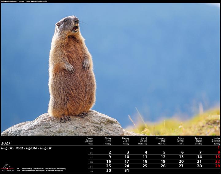 Actual product image Swiss Animals 2027