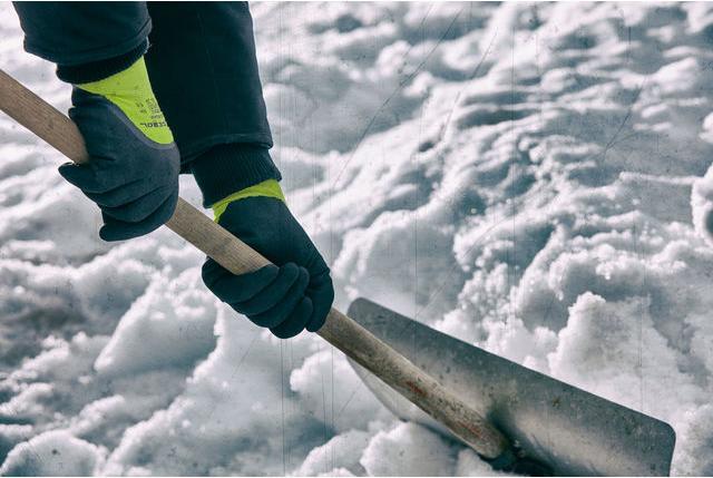 Immagine prodotto Gebol Arbeitshandschuh Ice Breaker 9 (9)