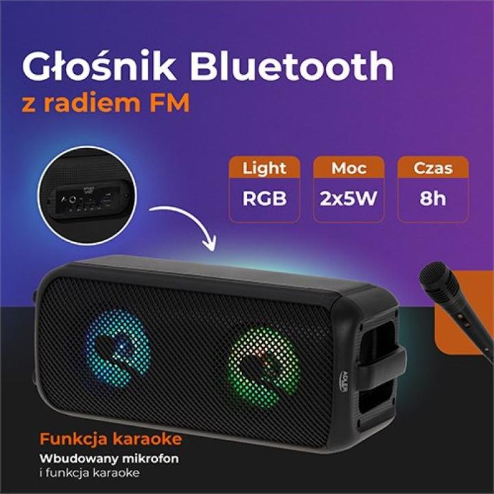 Immagine prodotto Adler Altoparlante con radio | AD 1903 | 2x5 W | Bluetooth | Nero | Portatile | Connessione wireless (8 h)