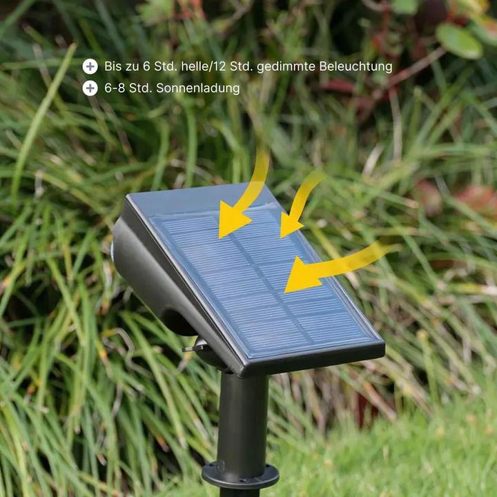 Actual product image Hermex LED Solar Gartenstrahler (30 lm, IP65)