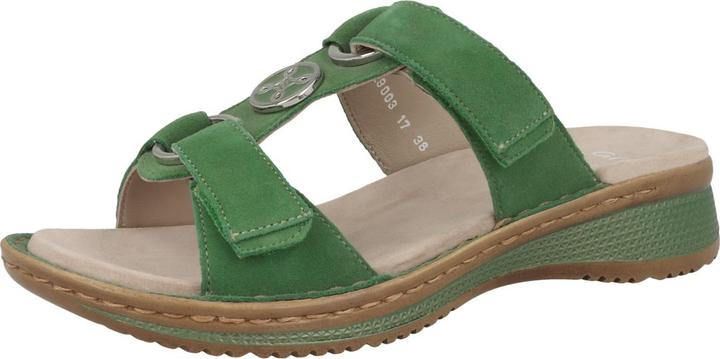 Image du produit Ara Hawaii (42)