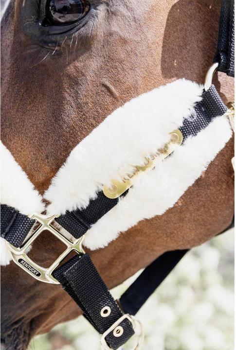 Produktbild Kentucky Horsewear Halfter Nylon sheepskin soft