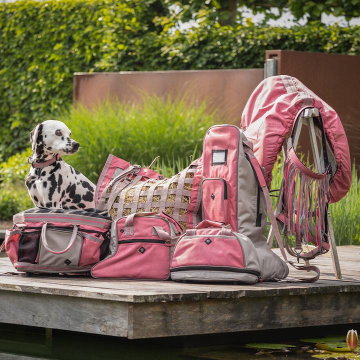 Image du produit Qhp Duo licol et longe collection pour cheval