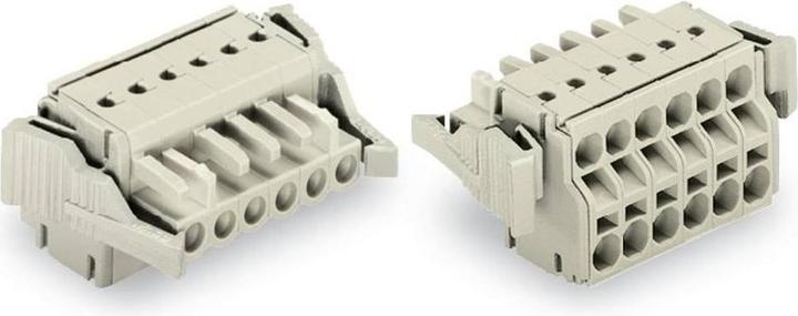 Wago 2-Leiter-Federleiste