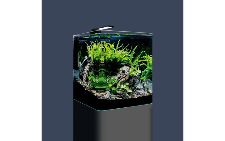 Image du produit Dennerle Nano Cube Basic 30l (30 l)