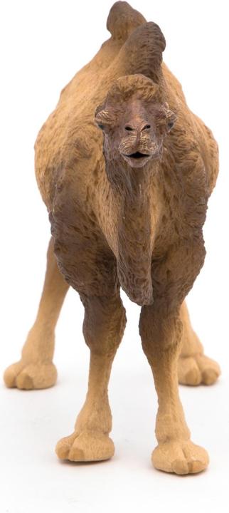 Produktbild Papo Baktrisches Kamel