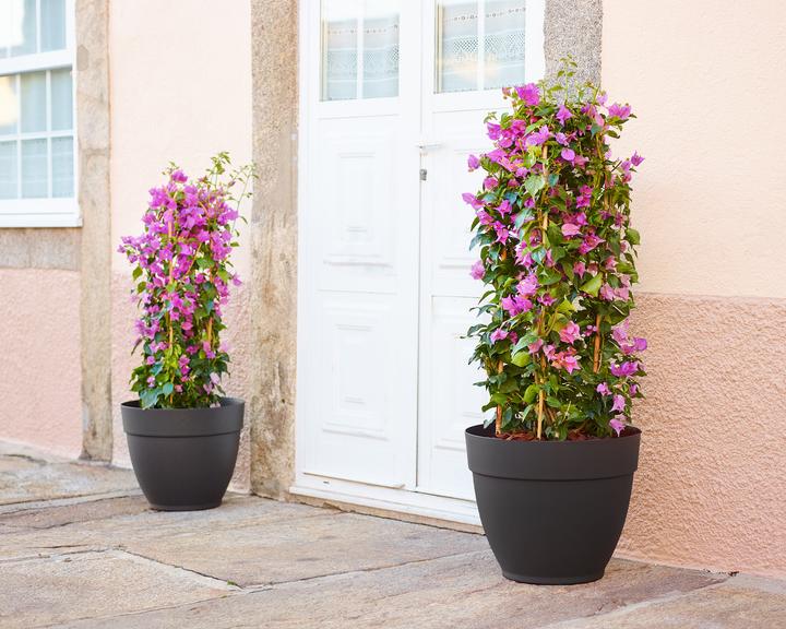 Actual product image Artevasi Capri Campana Pot (30 x 25.20 cm)