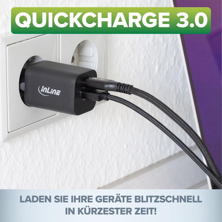 Actual product image InLine Power Delivery + Quick Charge USB Power Adapter (33 W, 2 ports)