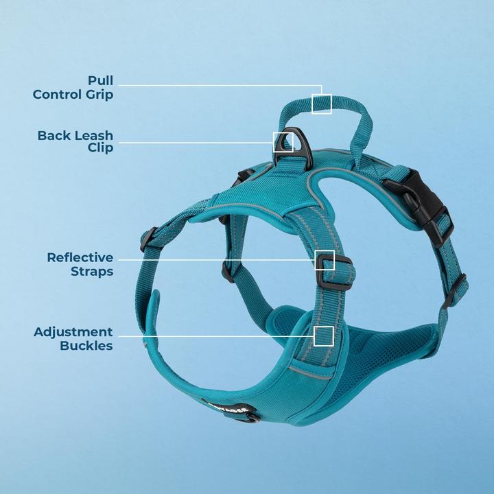 Immagine prodotto Voyager Verstellbares Hundegeschirr mit Reflektoren (S, Cane)