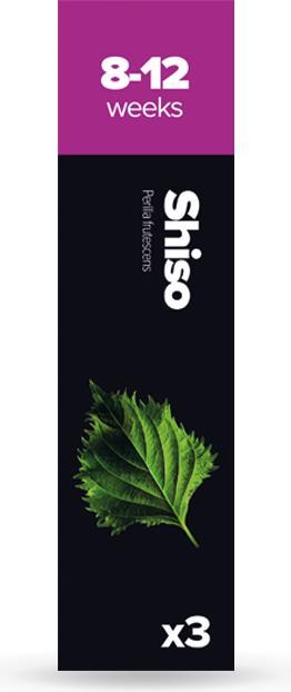 Produktbild Plantui Shiso (Kräutersamen)