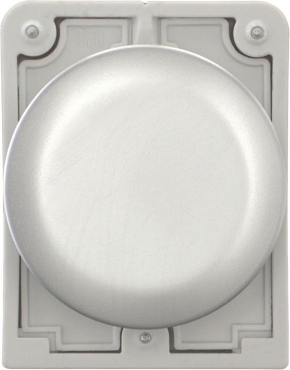 Produktbild Eaton Blanking plug 30 mm flat