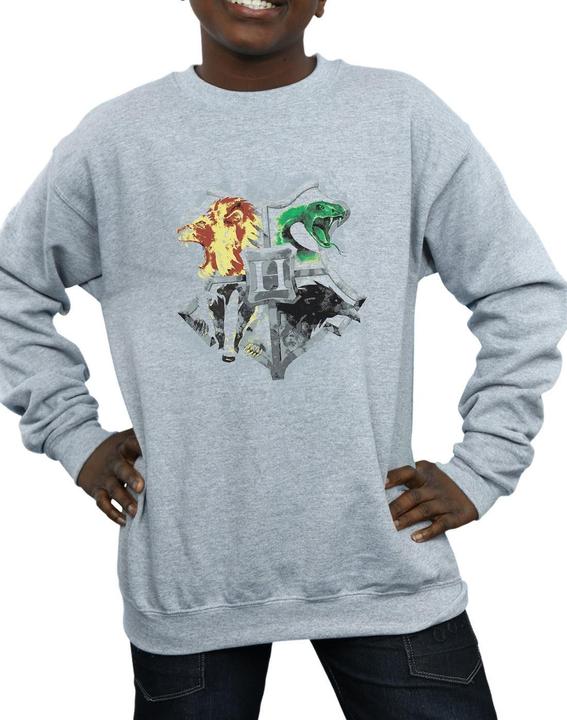 Produktbild Hogwarts Painted Crest Sweatshirt Jungen (128)