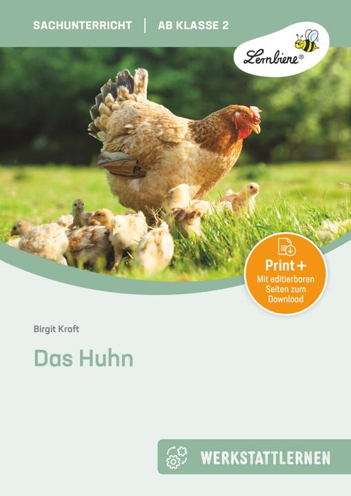 Produktbild Das Huhn. Grundschule, Sachunterricht, Klasse 2 (Deutsch, Birgit Kraft, 2024)
