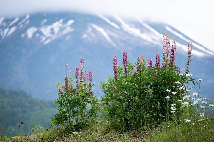 Actual product image Tamron AF 70-300mm F/4.5-6.3 Di III RXD Nikon Z (Nikon Z, full size)