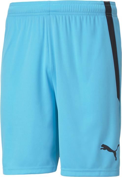 Actual product image Puma teamLIGA Shorts-704924 (60, 3XL)