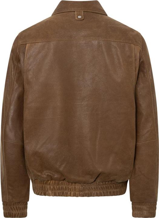 Actual product image Bolongaro Trevor Rafe (M)