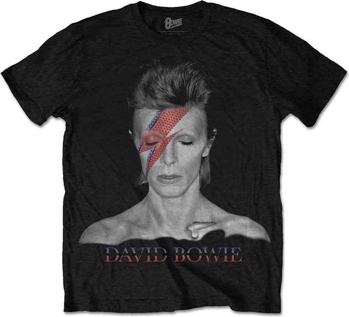 David Bowie Aladdin Sane