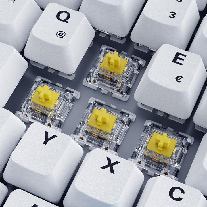 Actual product image Sharkoon Skiller SGK50 S3 PBT (DE, Cable)