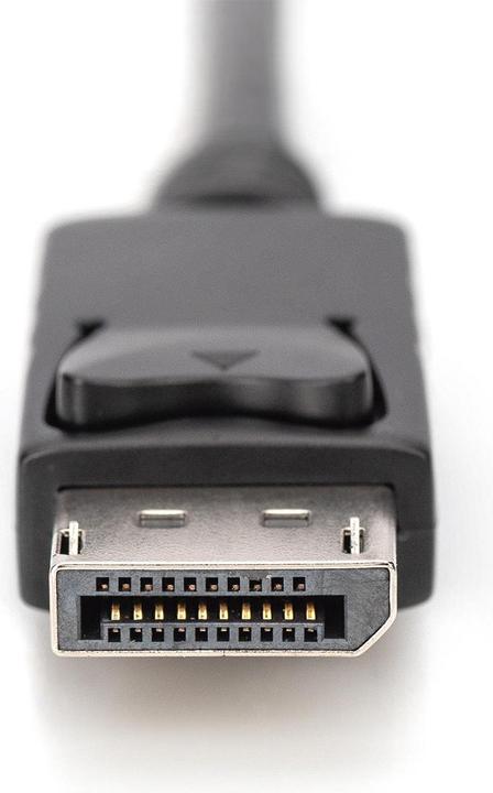 Actual product image Digitus 4K HDMI Adapter Cable - HDMI to DisplayPort (2 m)