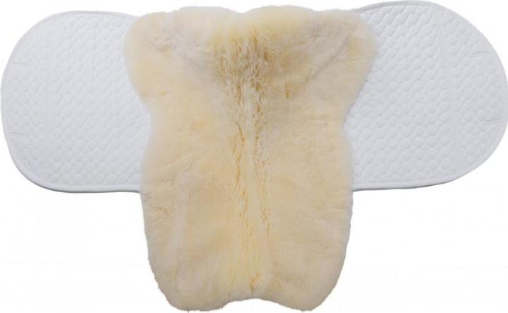 Produktbild Werner Christ Champ VS