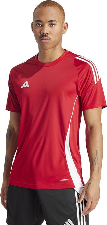 Actual product image adidas TIRO24 JSY (M)