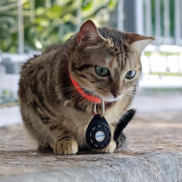 Produktbild Daewoo My Friend Locator iOS APPLE (D-FX11A-W) (Android, iOS)