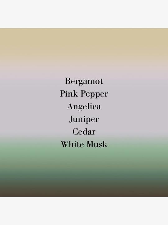 Produktbild Frédéric Malle Angélique sous la Pluie (Eau de Toilette, 100 ml)