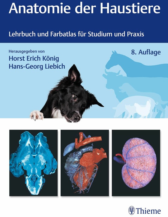 Produktbild Anatomie der Haustiere (Deutsch, Horst Erich König, Hans-Georg Liebich, 2024)