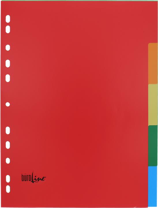 Image du produit BüroLine Intercalaire PP coloré A4