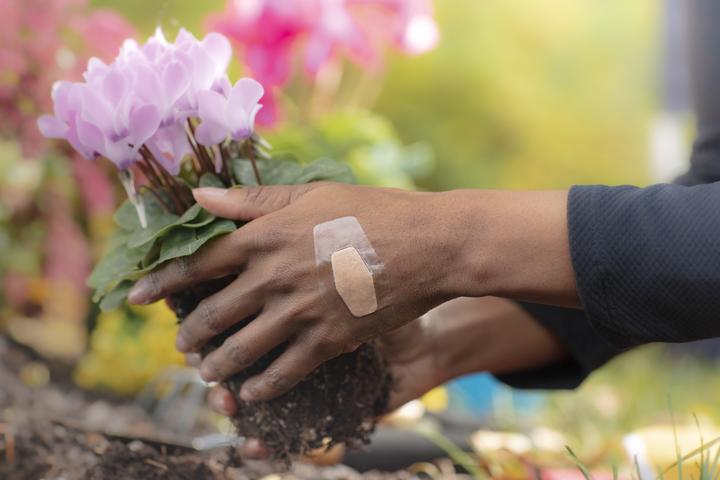 Image du produit Nexcare Aqua Clear (14 x)