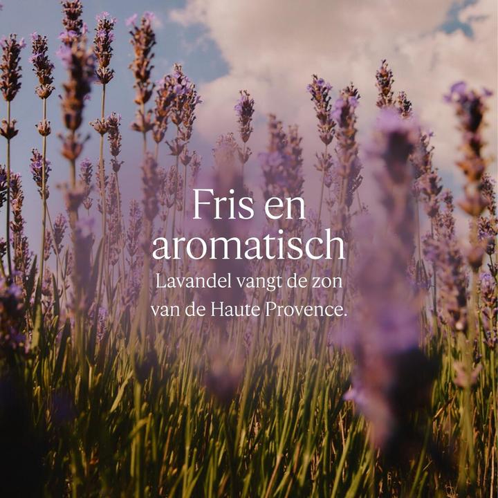 Actual product image L'Occitane Liquid Soap 500ml (Liquid soap, 500 ml)