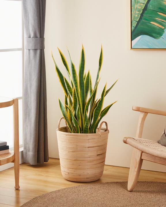 Immagine prodotto EGLO LIVING Naraha (36 cm)