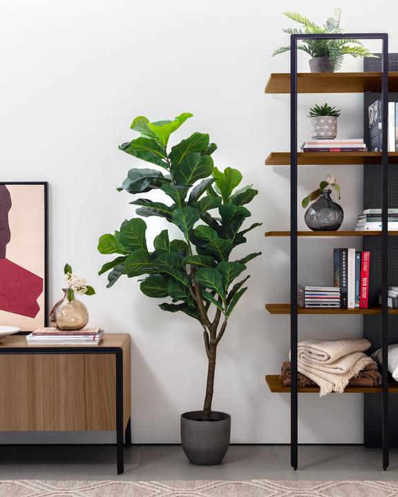 Image du produit Kave Home Ficus (150 cm)