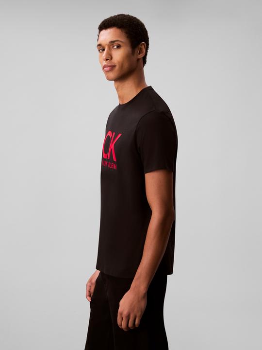 Actual product image Calvin Klein Graphic Tee (L)