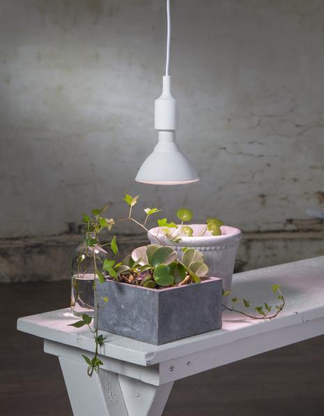 Actual product image Star Trading Lamp Plant Light (E27, 16 W, 1200 lm, 1 x)