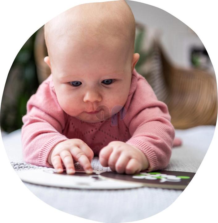 Actual product image Hanniline Contrast maps (German)