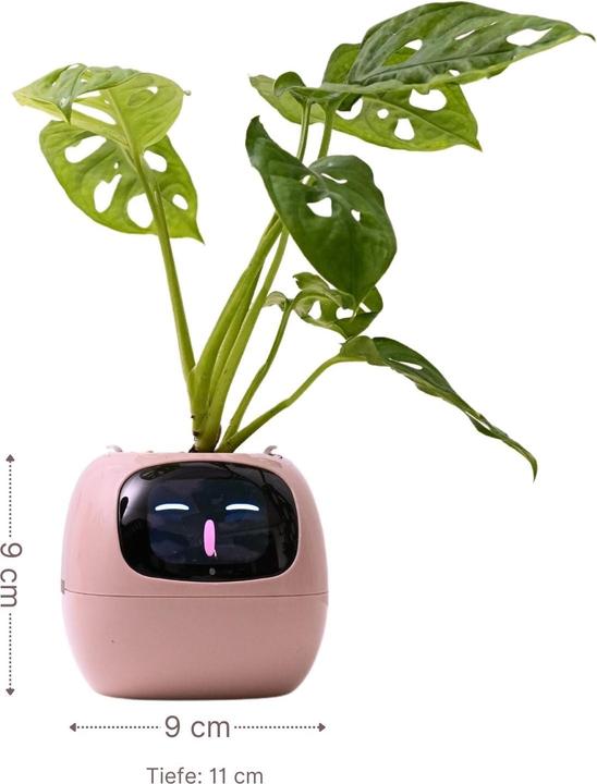 Produktbild Hermex Smarter Blumentopf (9 x 11 x 9 cm)